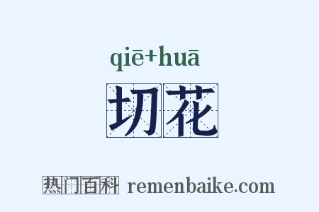 切花是什么意思的图片